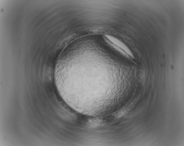 X0000081300470200701251722