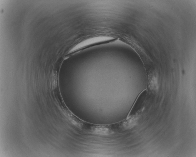 X0000081300471200701251722