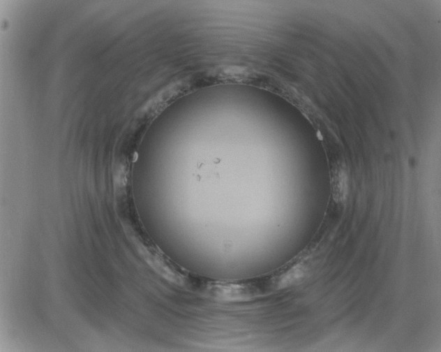 X0000081300472200701251722