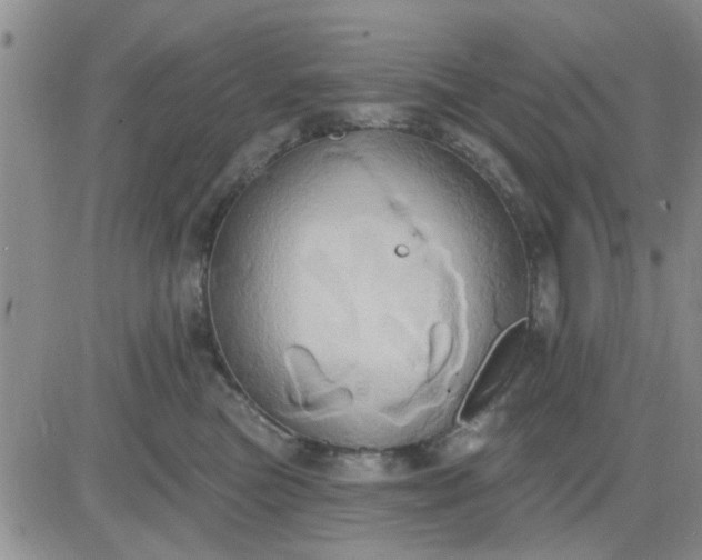 X0000081300473200701251722