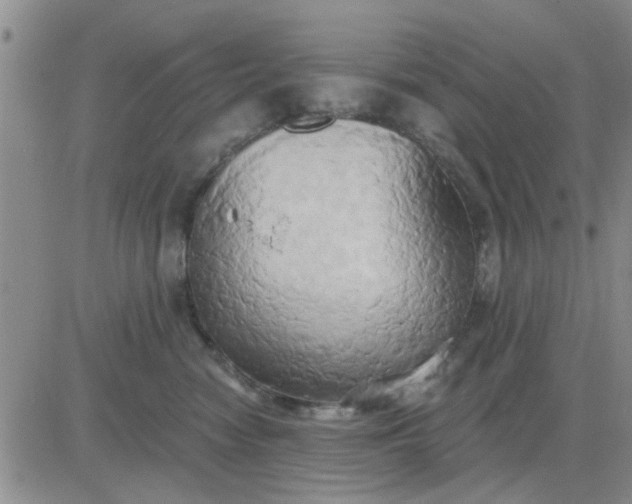 X0000081300474200701251722