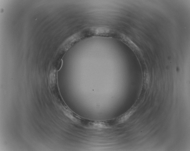 X0000081300475200701251722