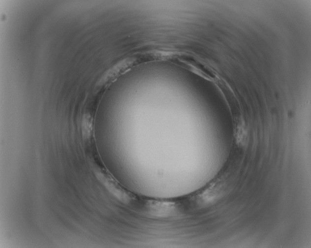 X0000081300476200701251722