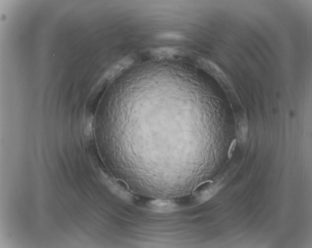 X0000081300477200701251722