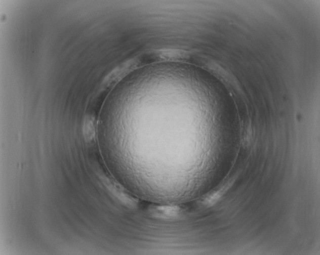 X0000081300478200701251722