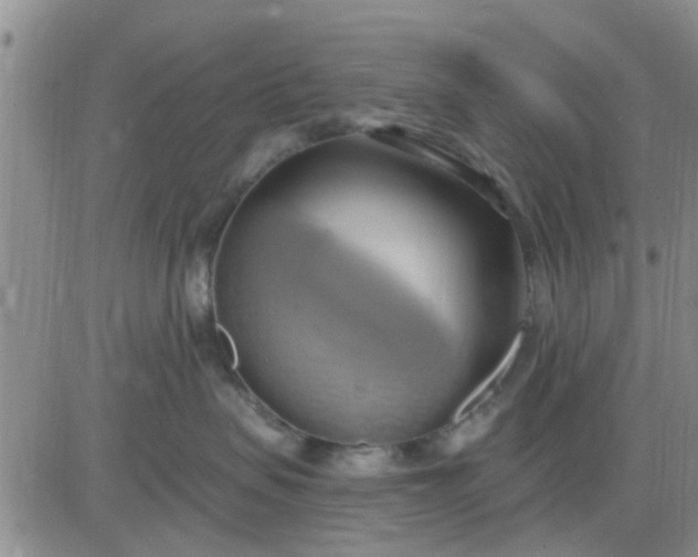 X0000081300479200701251722