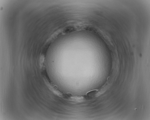 X0000081300480200701251722