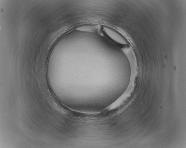 X0000081300481200701251722