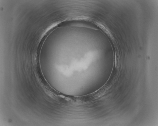 X0000081300483200701251722