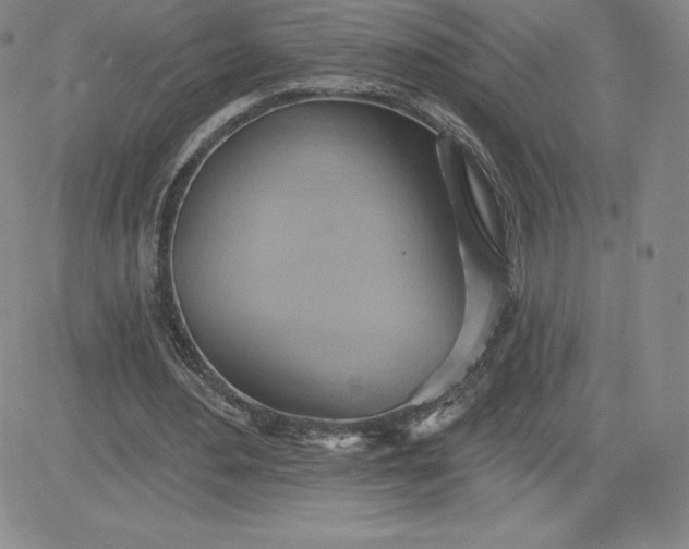 X0000081300484200701251722