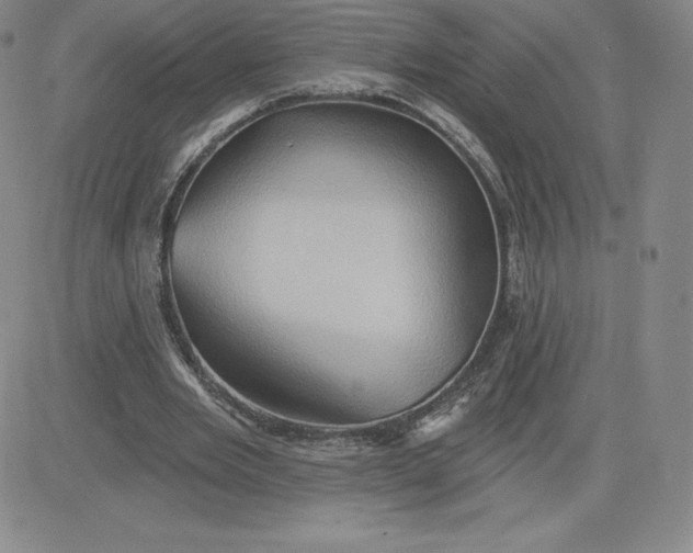 X0000081300485200701251722