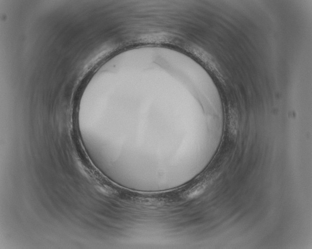 X0000081300486200701251722