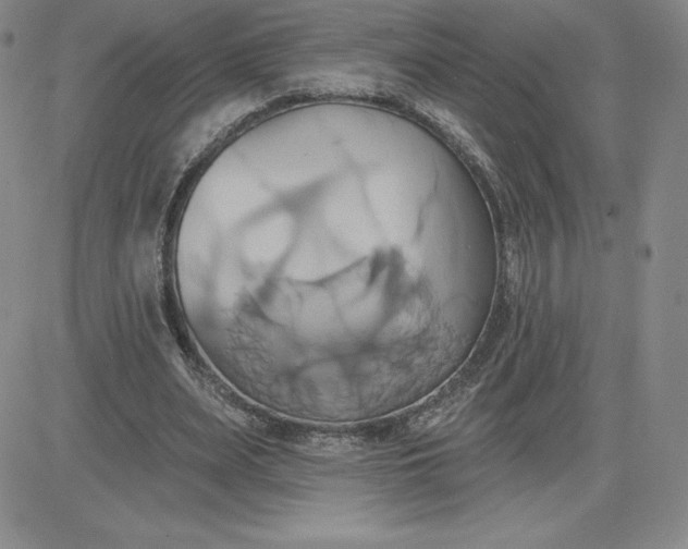 X0000081300487200701251722