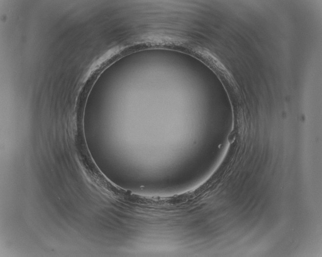 X0000081300488200701251722