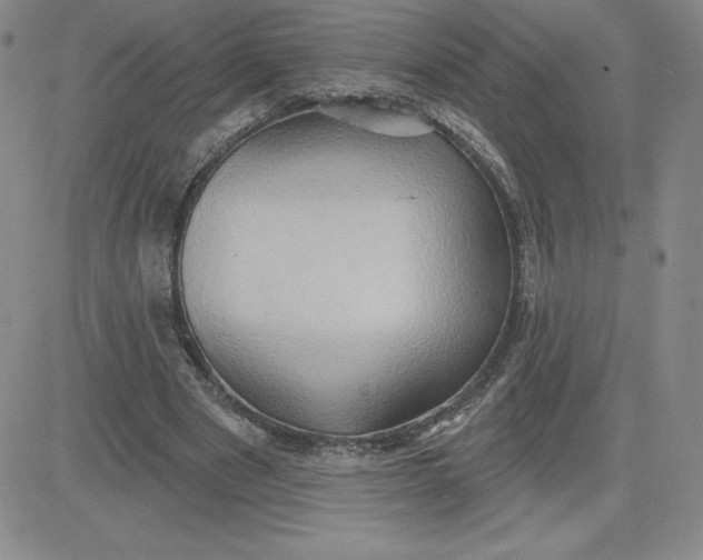 X0000081300489200701251722