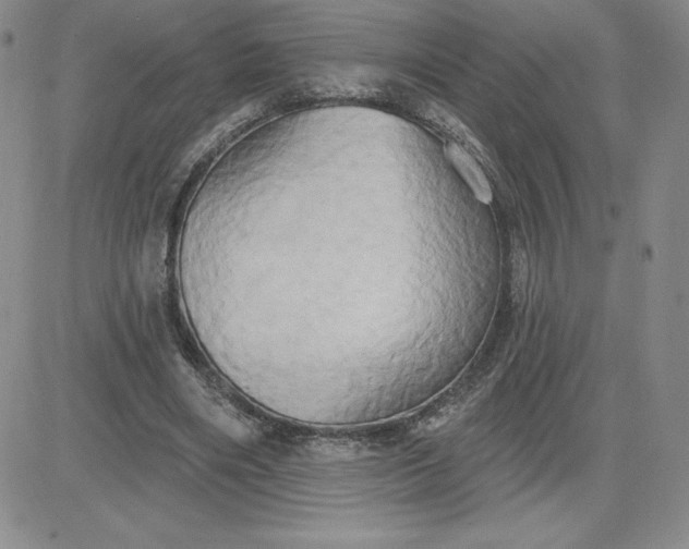 X0000081300490200701251722