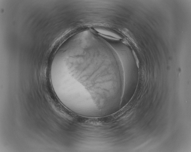 X0000081300491200701251721