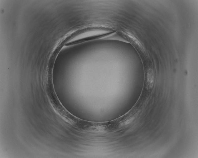 X0000081300492200701251721