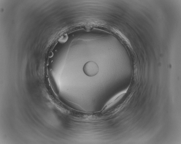 X0000081300493200701251721