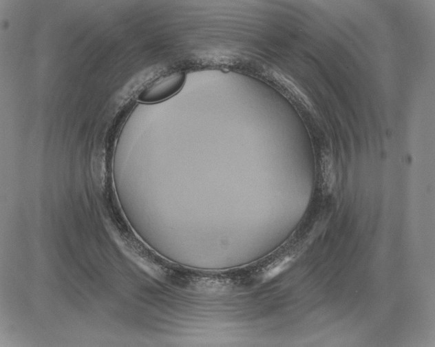 X0000081300494200701251721