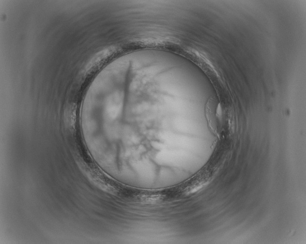 X0000081300495200701251721