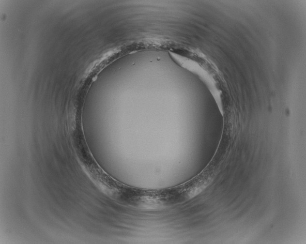 X0000081300496200701251721