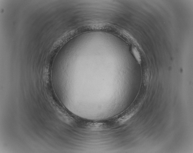 X0000081300497200701251721