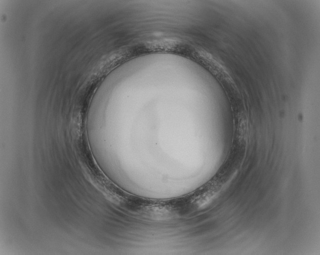 X0000081300498200701251721