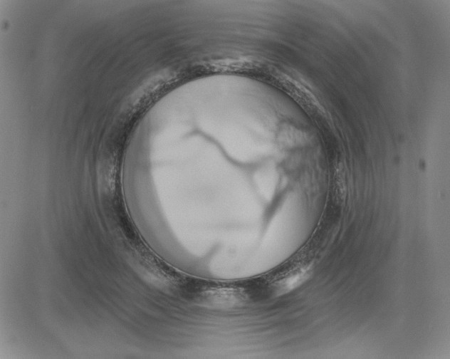 X0000081300499200701251721