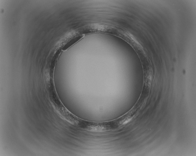 X0000081300500200701251721