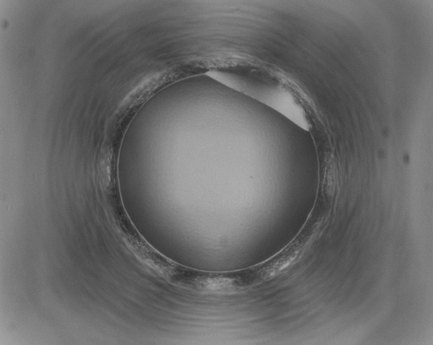 X0000081300501200701251721