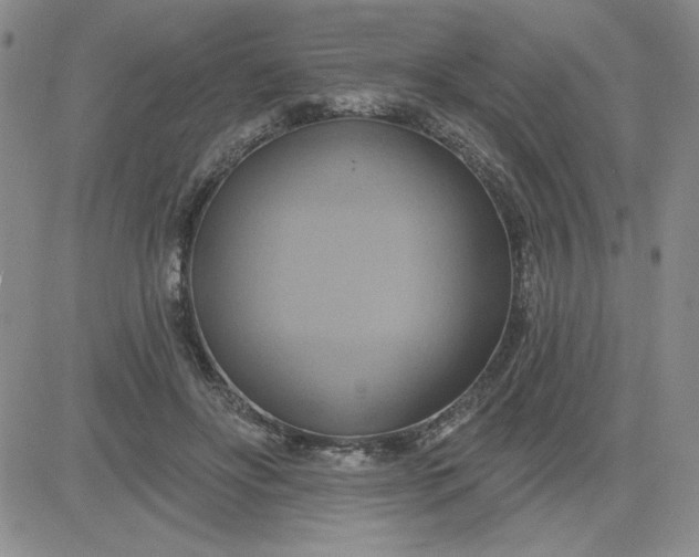 X0000081300502200701251721