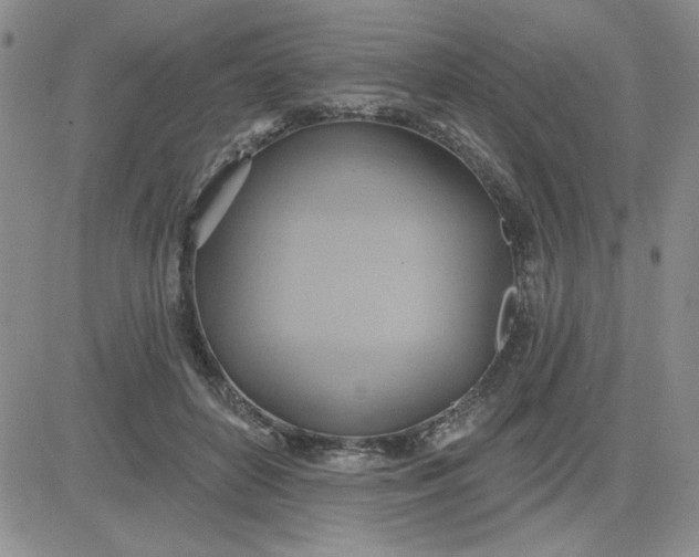 X0000081300504200701251721