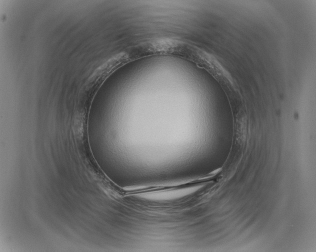 X0000081300505200701251721