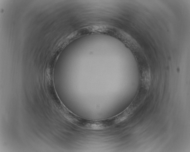 X0000081300506200701251721