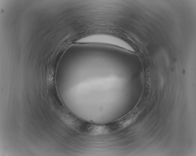 X0000081300507200701251721