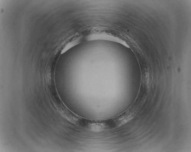 X0000081300508200701251721