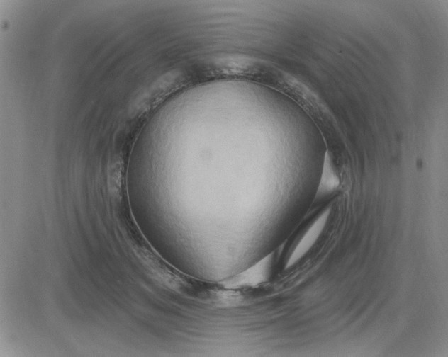 X0000081300509200701251721