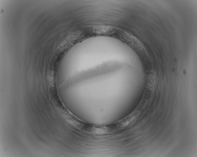 X0000081300510200701251721