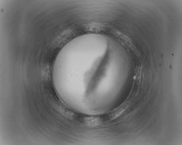 X0000081300511200701251721