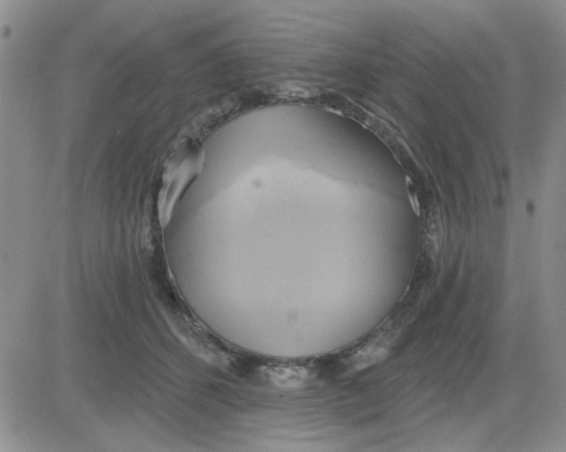 X0000081300512200701251721