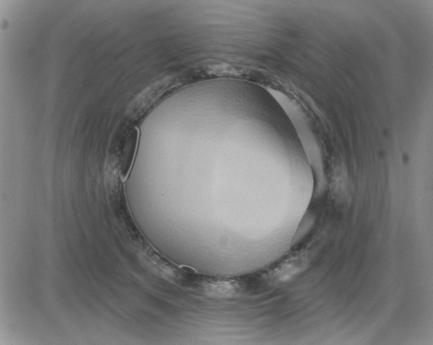 X0000081300513200701251721