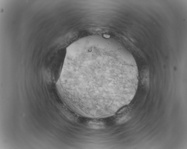 X0000081300515200701251721