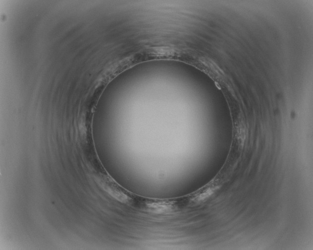 X0000081300516200701251721