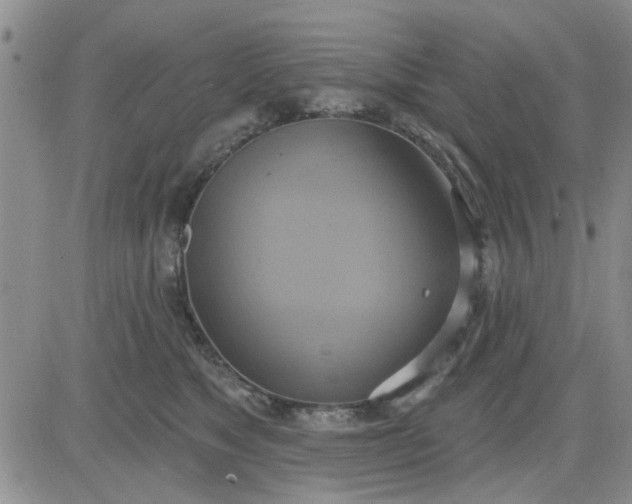 X0000081300517200701251721