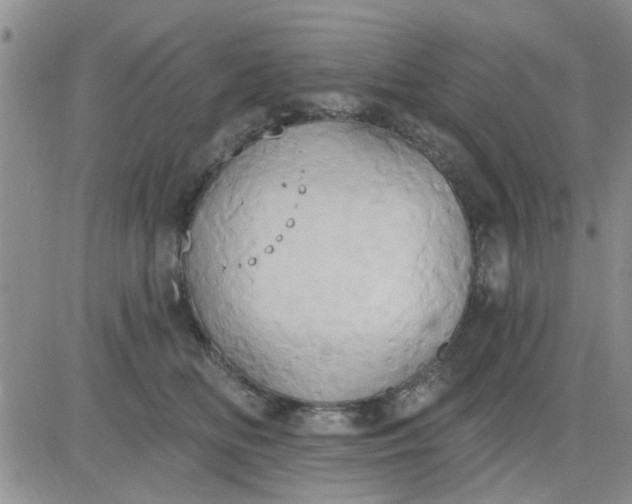 X0000081300518200701251721