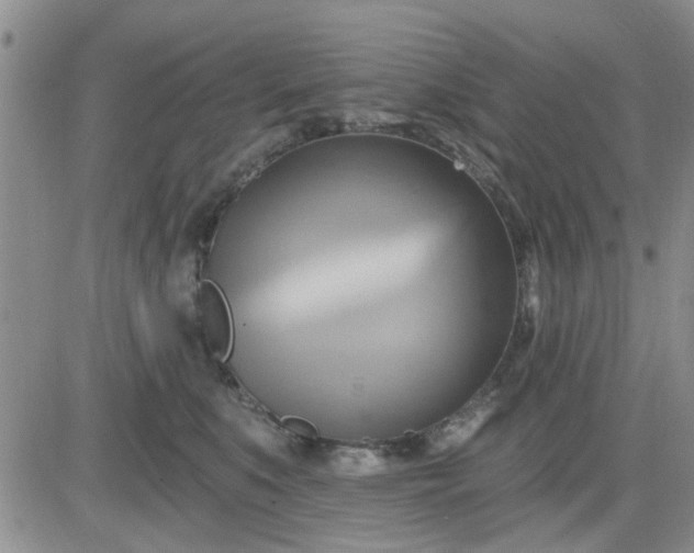 X0000081300519200701251721