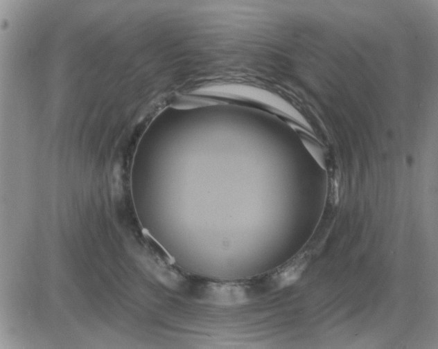 X0000081300520200701251721