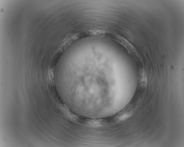 X0000081300523200701251721