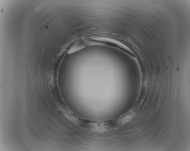 X0000081300524200701251721